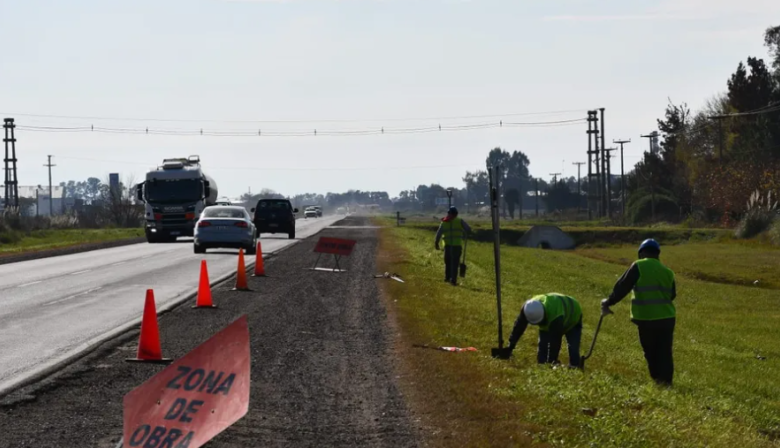 9 de Julio: el municipio impulsa que se siembren las banquinas de la Ruta Provincial 65