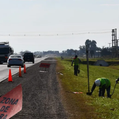 9 de Julio: el municipio impulsa que se siembren las banquinas de la Ruta Provincial 65